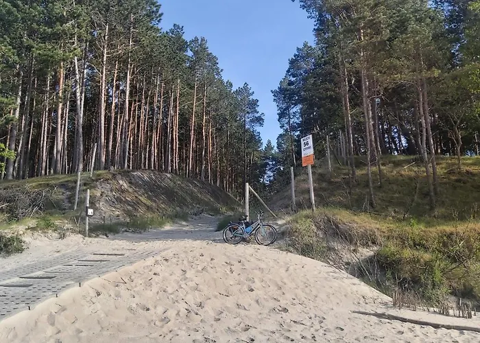 Cztery Swierki Sztutowo